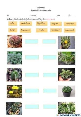 แบบทดสอบพันธุ์ไม้ในการจัดสวน
