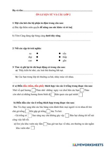 Ôn tập luyện từ và câu