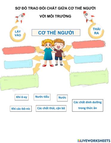 Trao đổi chất ở người