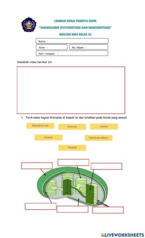 LKPD Anabolisme - fotosintesis