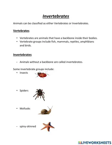 Invertebrates