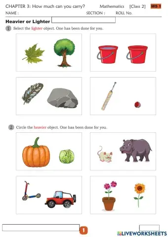 How much can you carry