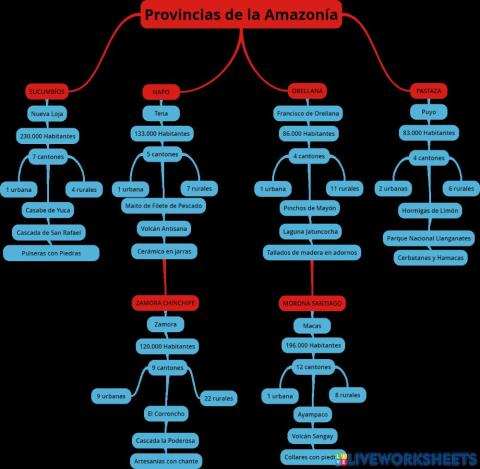 Región Amazónica o Amazonía