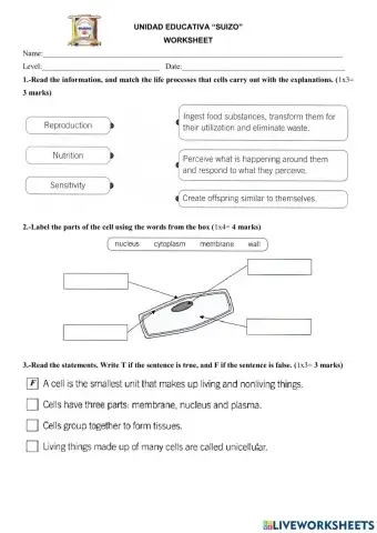 Science - Organization of living things