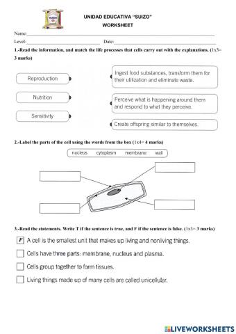 Science - Organization of living things