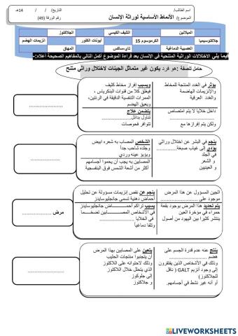ورقة 49تفاعلية3