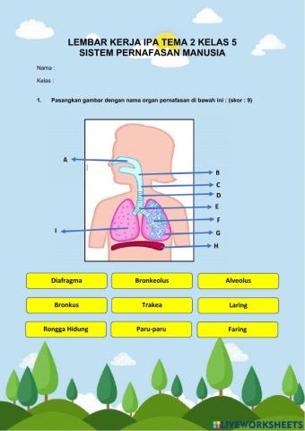 Lembar kerja ipa kelas 5 tema 2 sistem pernafasan manusia
