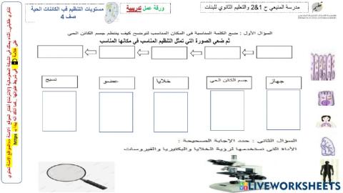 مستوى تنظيم الكائن الحي