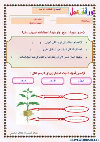 النباتات و أجزاؤها