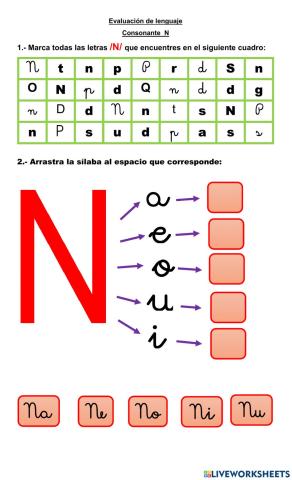 Evaluación letra N