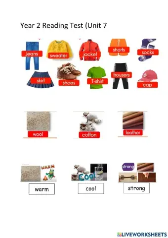 Year 2 Reading Test 3