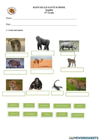 6th - African Animals and Comparatives - Unit 4