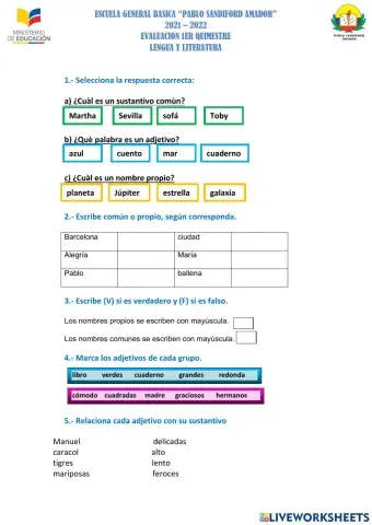 Sustantivo y adjetivo 7mo
