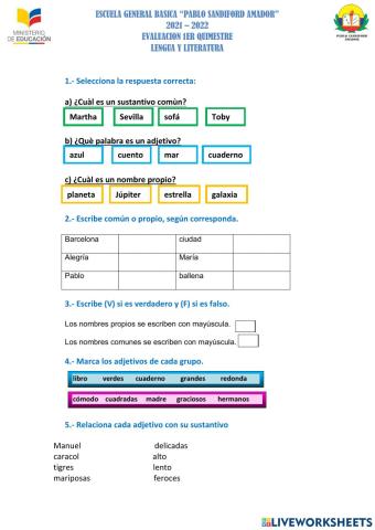 Sustantivo y adjetivo 7mo