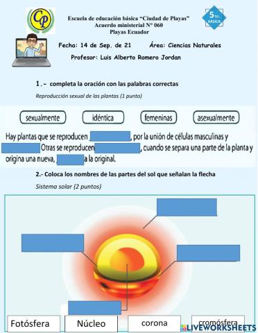 Evaluación Segundo parcial