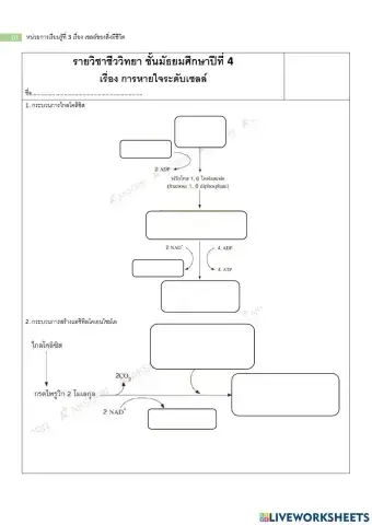 ม.4 แบบฝึกหัด เรื่อง การหายใจระดับเซลล์