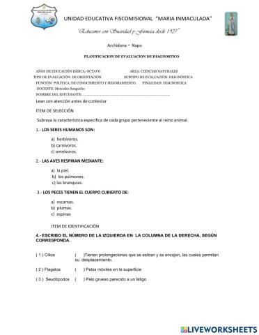 Evaluación diagnóstica