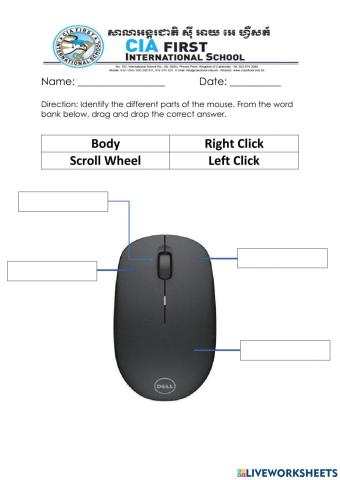 Parts of the Computer Mouse