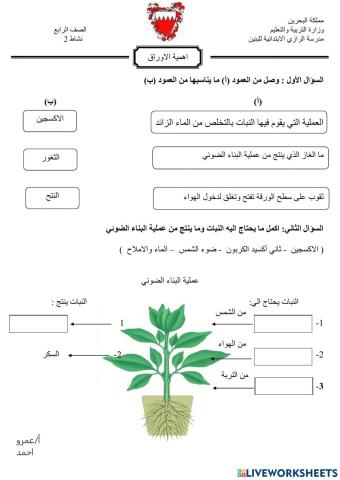 اهمية الاوراق