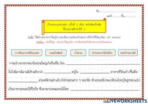เก็บคะแนนสอบย่อย ครั้งที่ 2 เรื่อง หน้าที่ของใบ