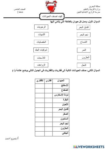 كيف تصنف الحيوانات