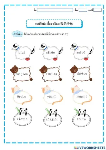 อวัยวะ我的身体