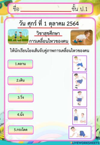 วิชาสุขศึกษา การเคลื่อนไหวของคน