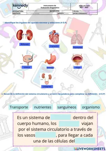 Ciencias Naturales