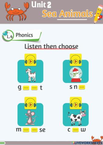 Phonics oo ou