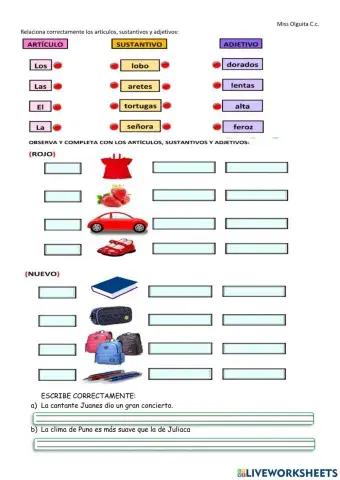 Concordancia de sustantivo y adjetivo