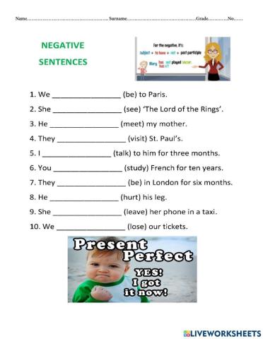 Present Perfect :Negative