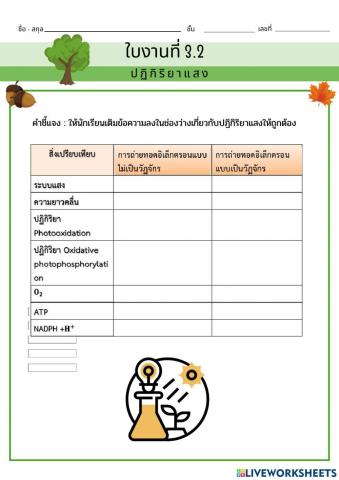 ใบงานที่ 3.2 ปฏิกิริยาแสง