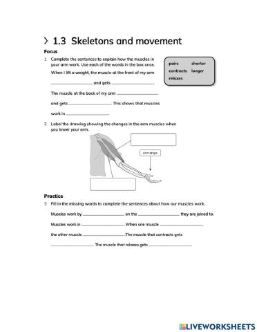 G3 Unit 1.3 Skeleton and movement