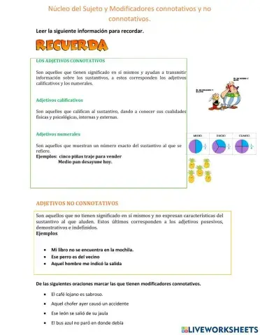 Modificadores connotativos y no connotativos del sujeto-NEE
