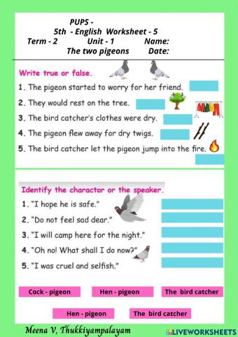 English term 2 The two pigeons