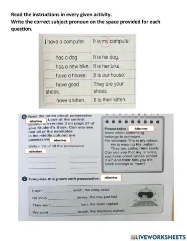 Possessive Adjective