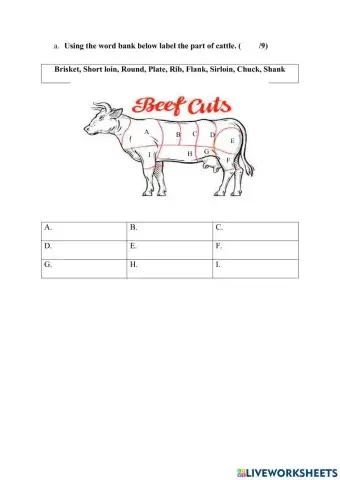 Beef Cut