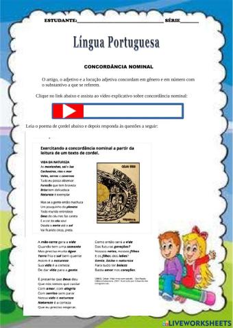 Português  - Concordância nominal