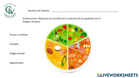 El plato del buen comer