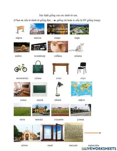 Род существительного