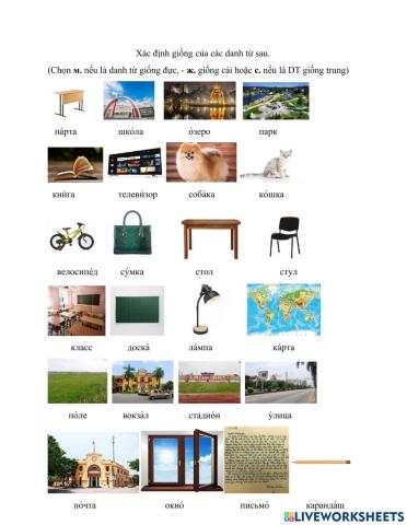 Род существительного