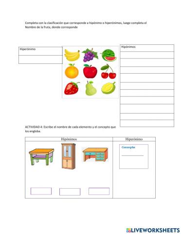 Hipónimos e hiperónimos