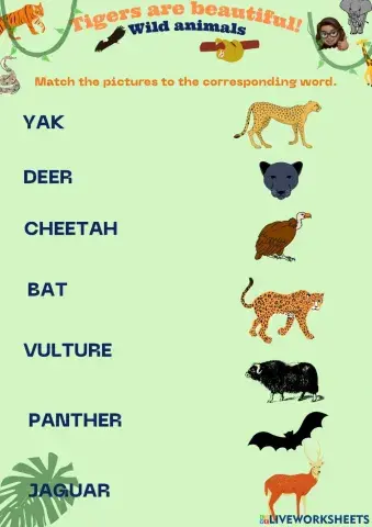 Wild animals-vocabulary