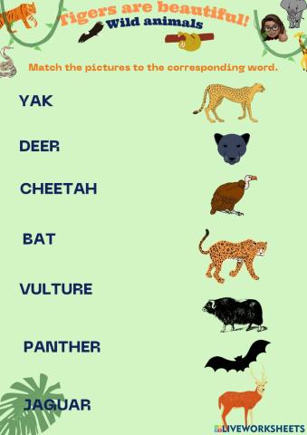 Wild animals-vocabulary
