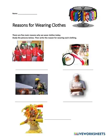 Reasons for Wearing Clothes