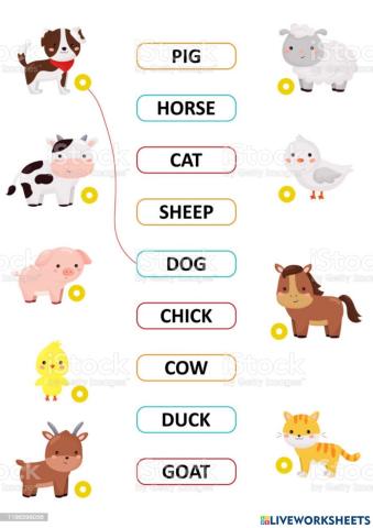 Farms animals