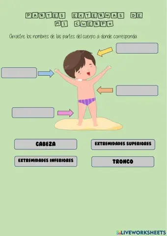 Partes externas del cuerpo