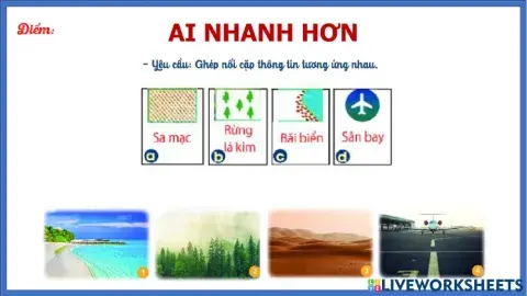 Lớp 6 - Bài 2 - mục 1