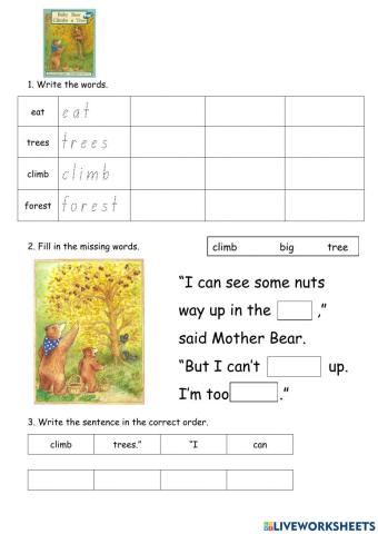 Baby Bear Climbs A Tree