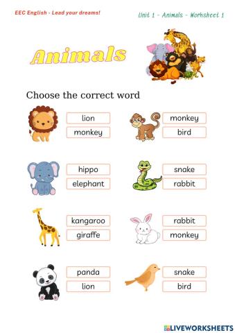 Unit 1 - Animals - Worksheet 1